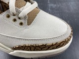 Air Jordan 3 “Palomino” CT8532-102