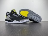 Air Jordan 3 Retro Oregon Duck