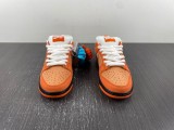 Concepts x N*ike SB Dunk Low FD8776-800