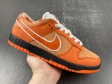Concepts x N*ike SB Dunk Low FD8776-800
