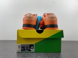 Concepts x N*ike SB Dunk Low FD8776-800