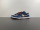 N*ike D*unk Low Retro DV2433-109