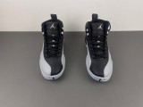 Air Jordan 12 “BLACK/WOLF GREY” CT8013-010