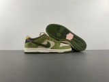 N*ike SB Dunk Low SB  HF8022-300