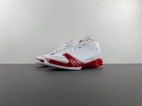 Air Jordan 23 318376-161