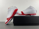 Air Jordan 23 318376-161