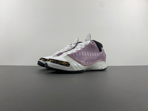 Air Jordan 23 318376-102