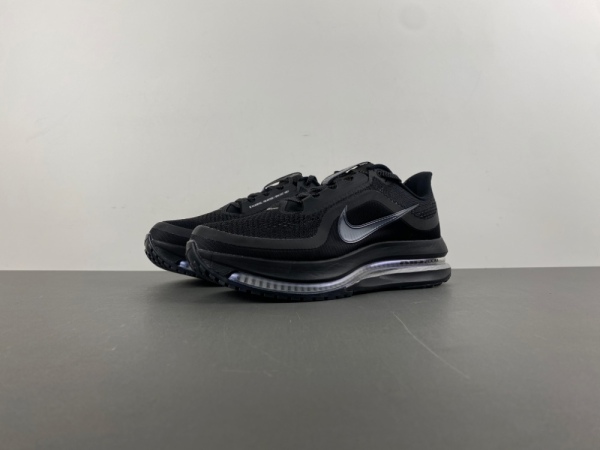 A*ir Zoom Pegasus Premium HQ2592-005