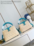 L*ouis V*uitton Top Bag