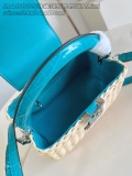 L*ouis V*uitton Top Bag