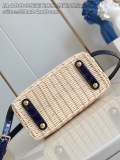 L*ouis V*uitton Top Bag