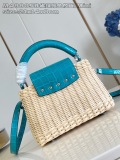 L*ouis V*uitton Top Bag