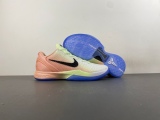 GNike Kobe 6 PE2026-100