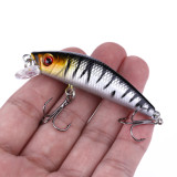 Floating Minnow Fishing Lure 7cm 8.1g Jrekbait Crankbait Plastic Hard Bait Wobblers Carp Fishing Tackle