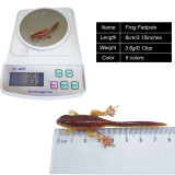 Soft Bait Lures Frog Fadpole 8cm/3.8g Soft Fishing Lure Toads Artificial Silicone Baits For Bass
