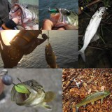 Jig Head Fishing Hooks Set 1.5g-10g Lead Jighead Fishhooks Jigging Hook Unpainted Worm Circle Hook for Carp Fishing