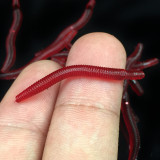Finesse Worm Soft Baits 4cm Soft Fishing Lure Bass Carp Fishing Bait Artificial Earthworms