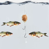 Snelled Baitholder Hooks 7#-13# Drop Shot Rig High Carbon Steel Fishing Hook Fishhook Carp Fishing Tackle