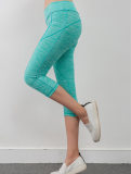 Women Colors Sexy Yoga Sport Legging FG9121