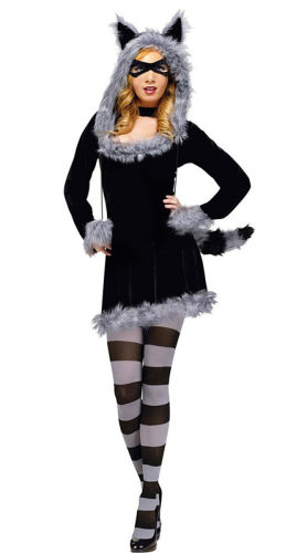Lovely Raccoon Costume M4778