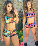 Quiet Sunset Print Bathing Suit M5415