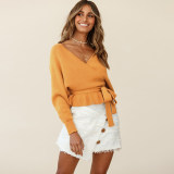 Long Sleeve Knitted Sexy Pull Over V-Neck Short Top Sweater LQ152