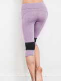 Women Plus Size Yoga Colors Sport Legging FG9123