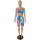 Women Sexy Two Piece Set Colorful Print Tube Top And Knee Length Pants m8418