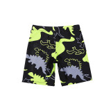 Dinosaur Long Sleeved Children's Swimsuit Three Piece Cartoon Swimsuit Suit For Boys KF203