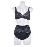 Women Sexy Polka Dot Two Piece Swimsuit Plus Size HF42
