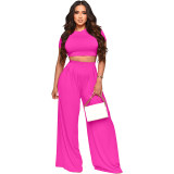 Fashion Crop Solid Color Wide Leg Pants Two Sets 9411