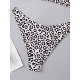 Two Piece Swimsuit Bikini Set Women Swimwear Leopard Sexy Bikini A2201