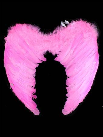 Pink wings MW02D
