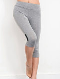 Women Plus Size Yoga Colors Sport Legging FG9123