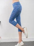 Women Colors Sexy Yoga Sport Legging FG9121