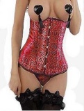 sexy embroidered satin corset M1732
