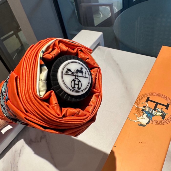 Hermes Umbrella