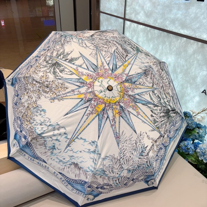 Dior Umbrella