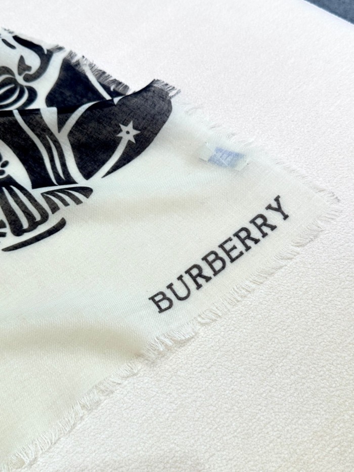 Burberry Scarf Size 70*200cm 4-Color