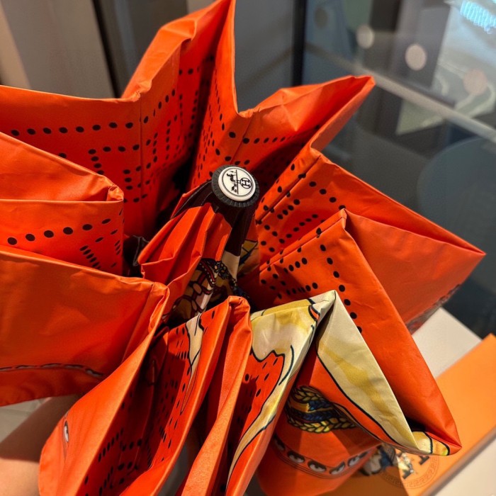 Hermes Umbrella