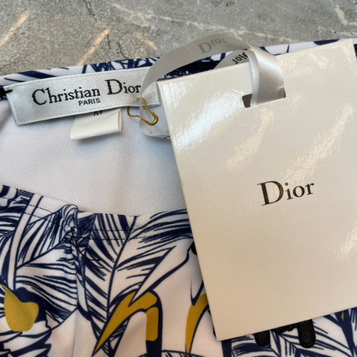 Dior Swimsuit Size S-XL