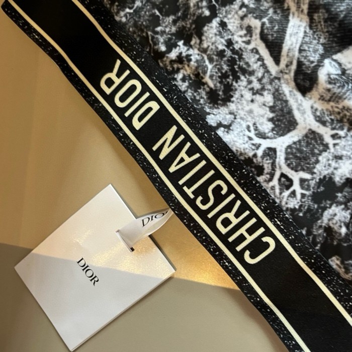Dior Swimsuit Size S-XL