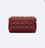 Dior x ショルダーバッグポシェット