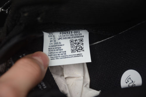 Dunk Low Airbrush Swoosh FD6923-001