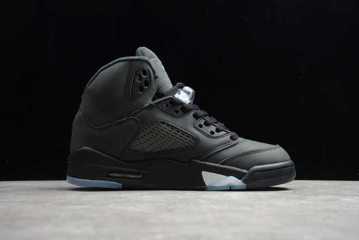 Air Jordan 5 Anthracite Grey Silver DB00731-001