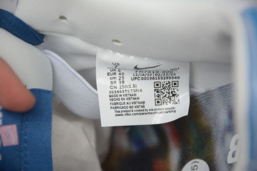 FN7819-400 Born x Raised Nike SB Dunk Low Pro QS One Block At a Time