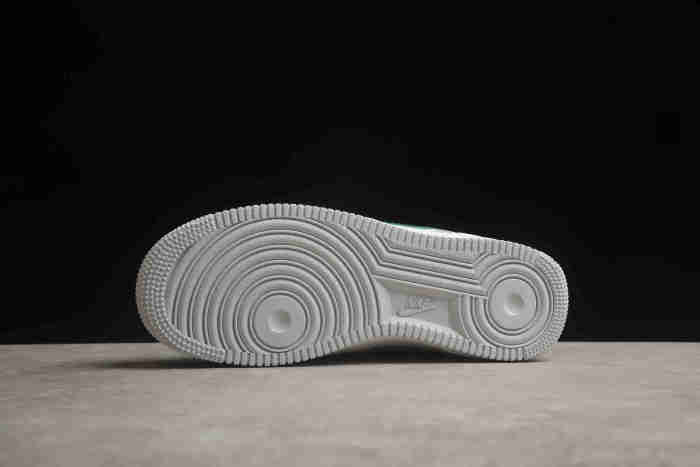 Air Force 1 Low Ducks of a Feather Division Street