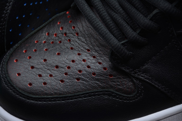 Air Jordan 1 SB Lance Mountain Black 653532-002