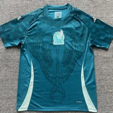 24-25 Mexico Green Blue Training shirts