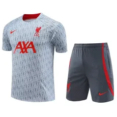 23-24 LIV Grey Training Short Suit
